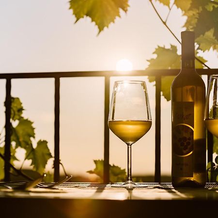Hisa Stekar Villa Kojsko Bagian luar foto