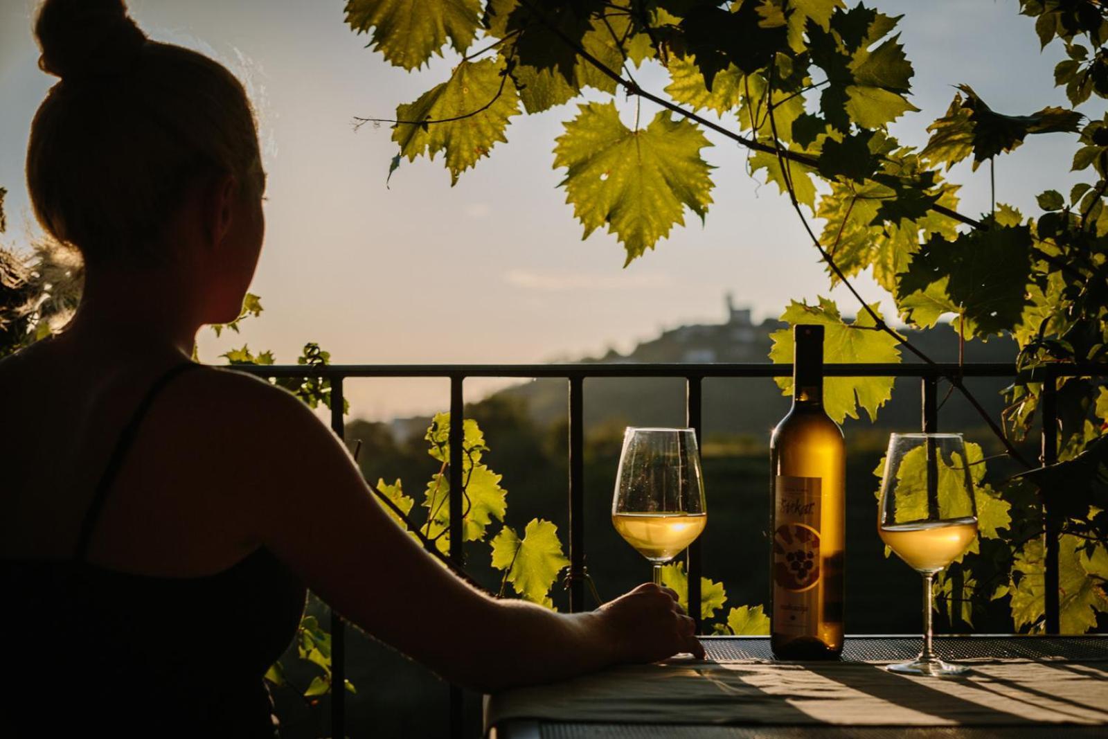 Hisa Stekar Villa Kojsko Bagian luar foto